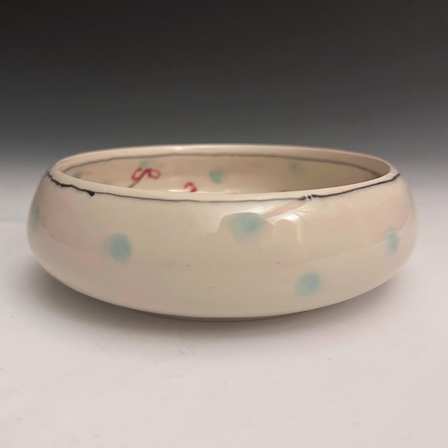 Pottery Bowl Cherry Blossom Ceramic Bowl