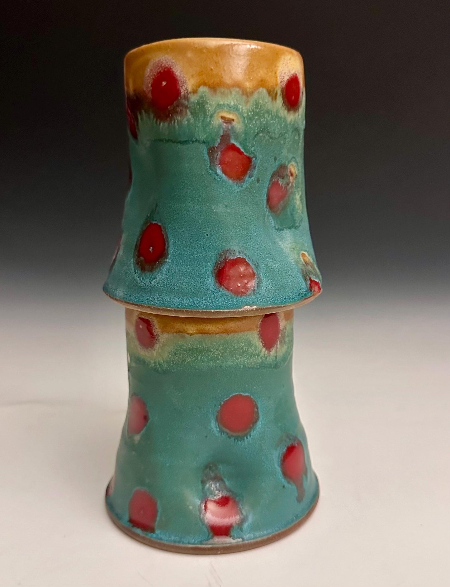 Polka Dot Tumbler 8