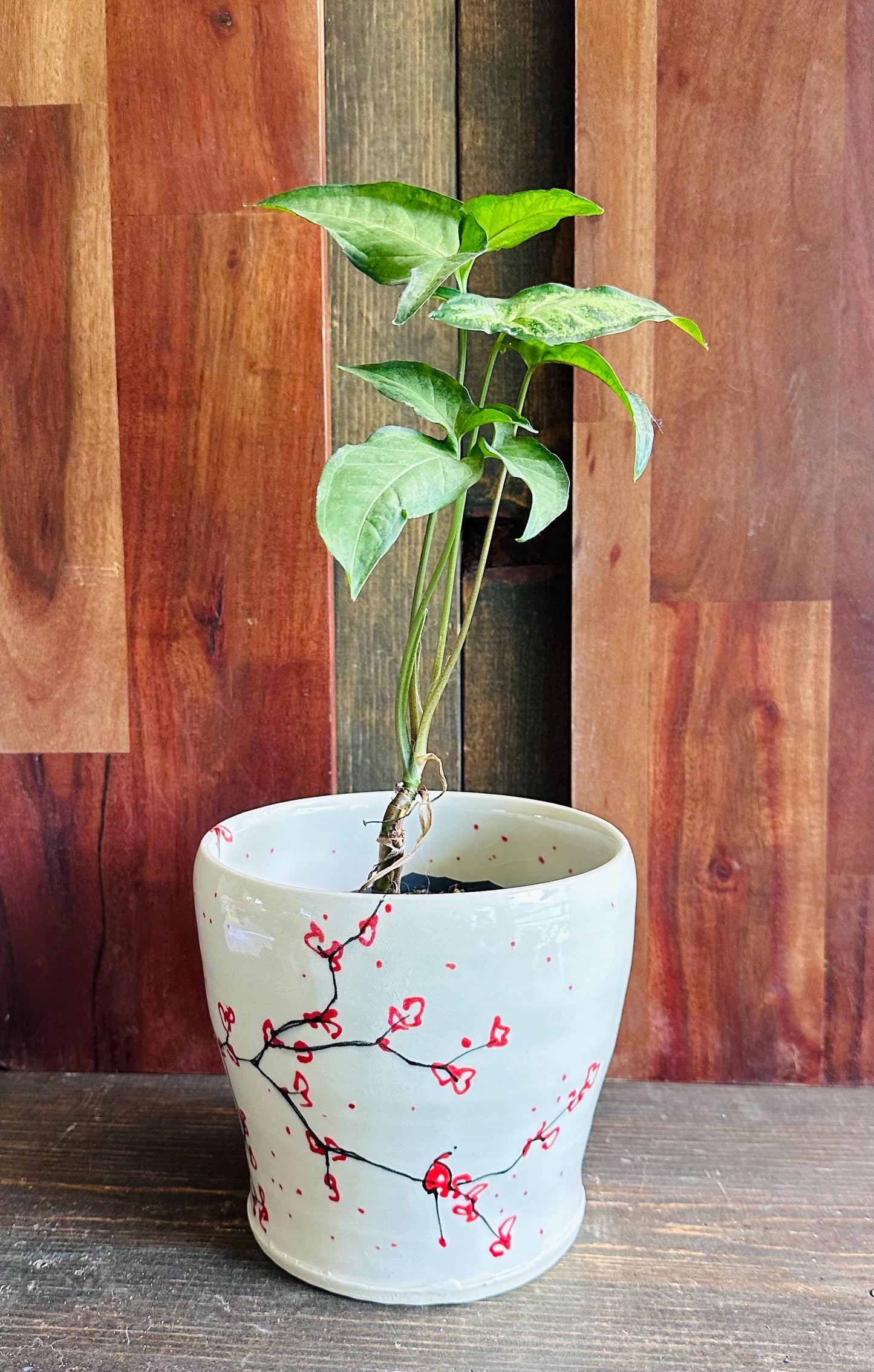 Ceramic Planter Pottery Handmade Cherry Blossom Red Flower M2559