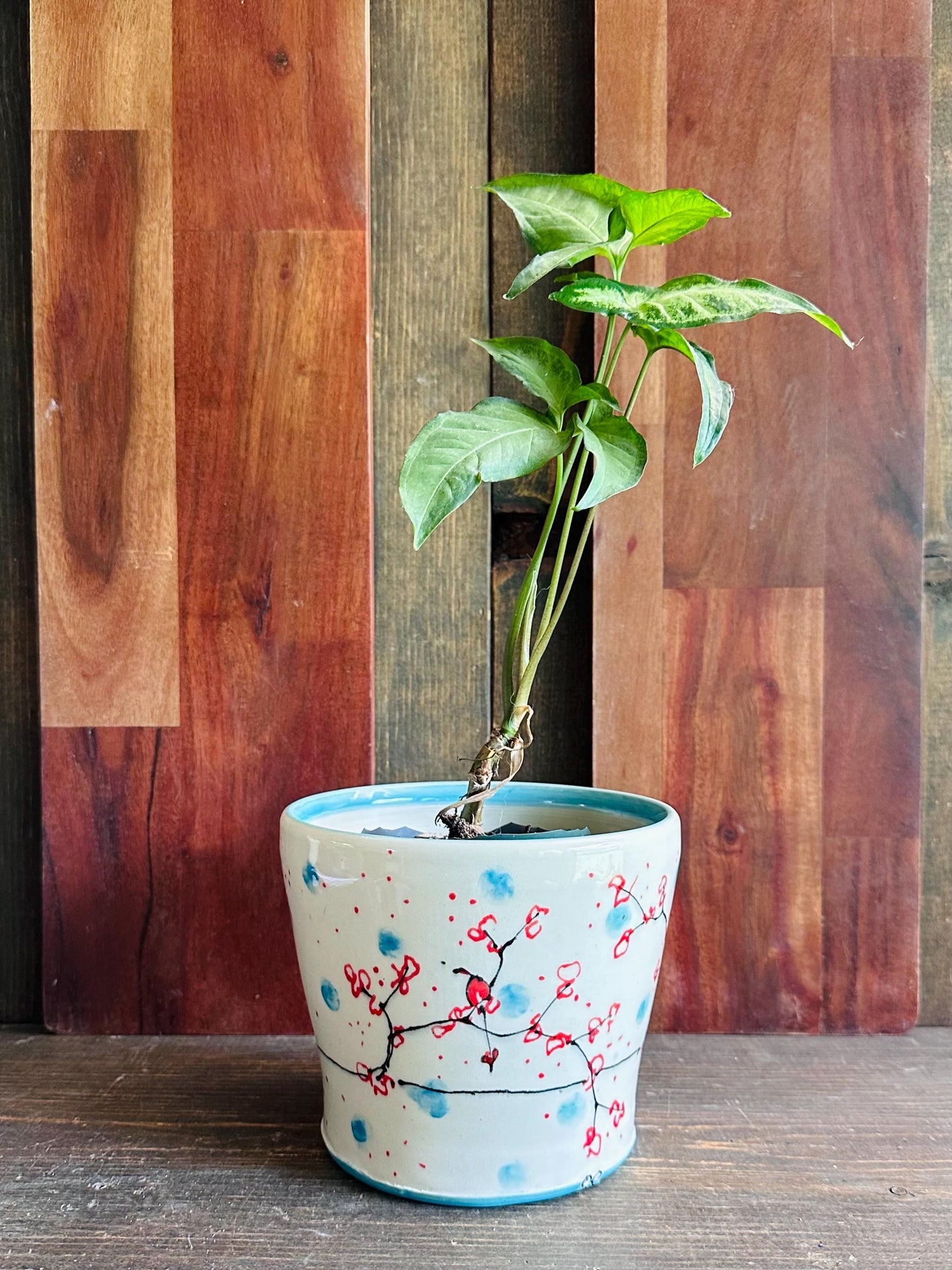 Ceramic Planter Pottery Handmade Cherry Blossom Red Flower Turquoise M2560