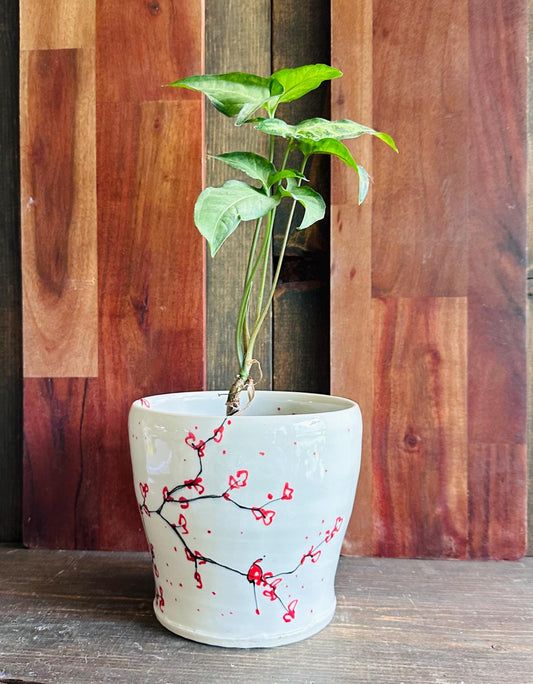 Ceramic Planter Pottery Handmade Cherry Blossom Red Flower M2559